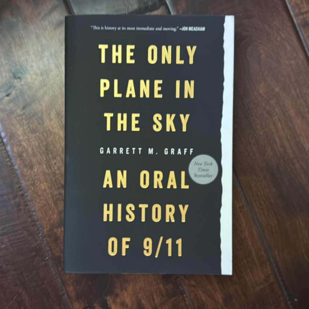 Only Plane in the Sky