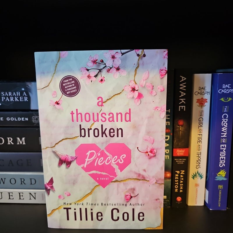 A Thousand Broken Pieces
