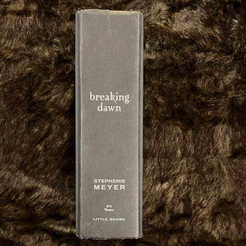 Breaking Dawn