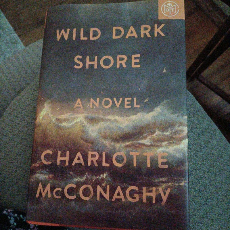 Wild Dark Shore
