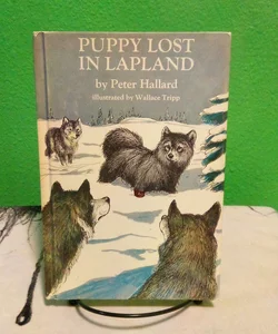 Puppy Lost in Lapland - Vintage 1971