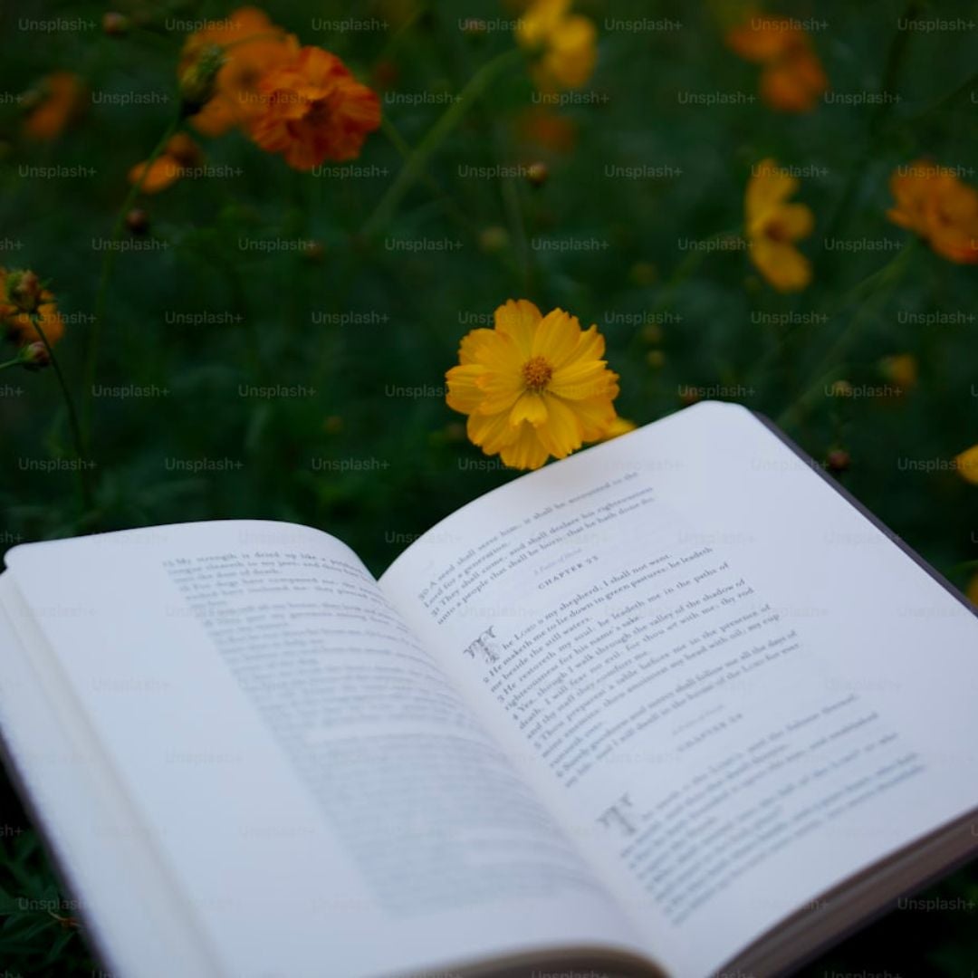 BookishWhims