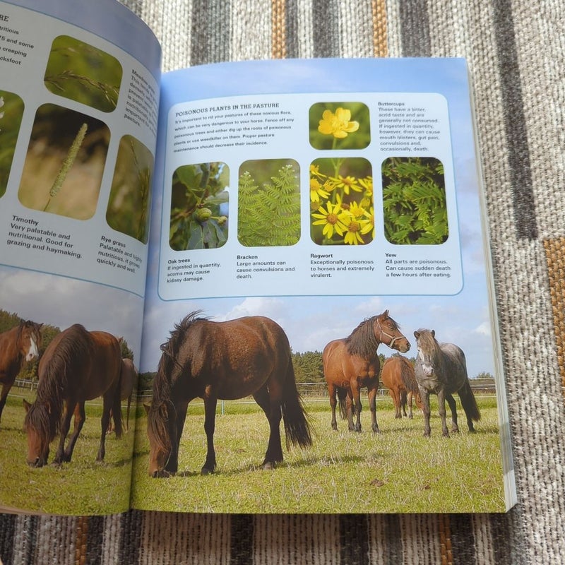 The Horse Lover's Bible