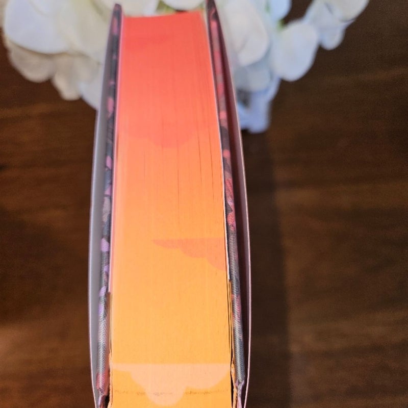 Illumicrate Afterlight *SIGNED* Great Big Beautiful Life 