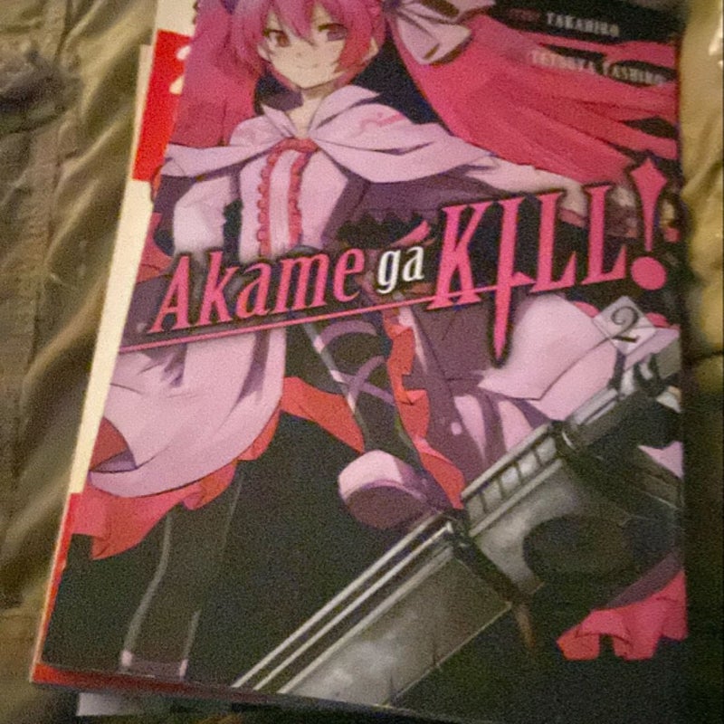 Akame Ga KILL!, Vol. 2