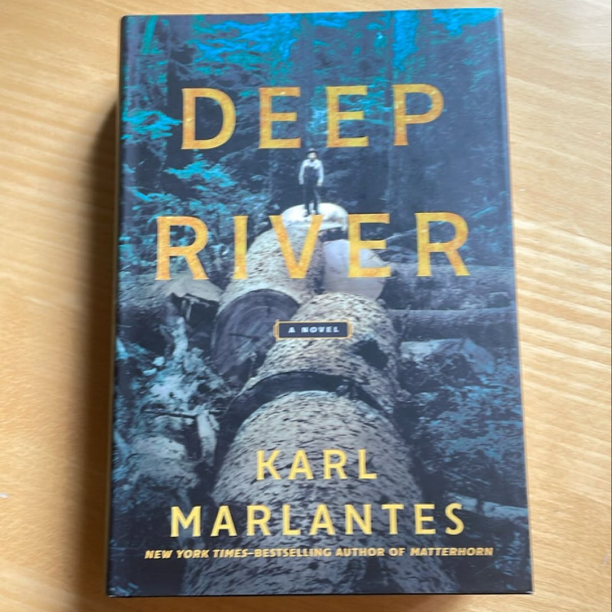 Deep River by Karl Marlantes