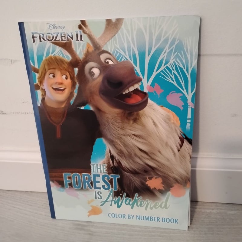 Frozen 2 Coloring Book 