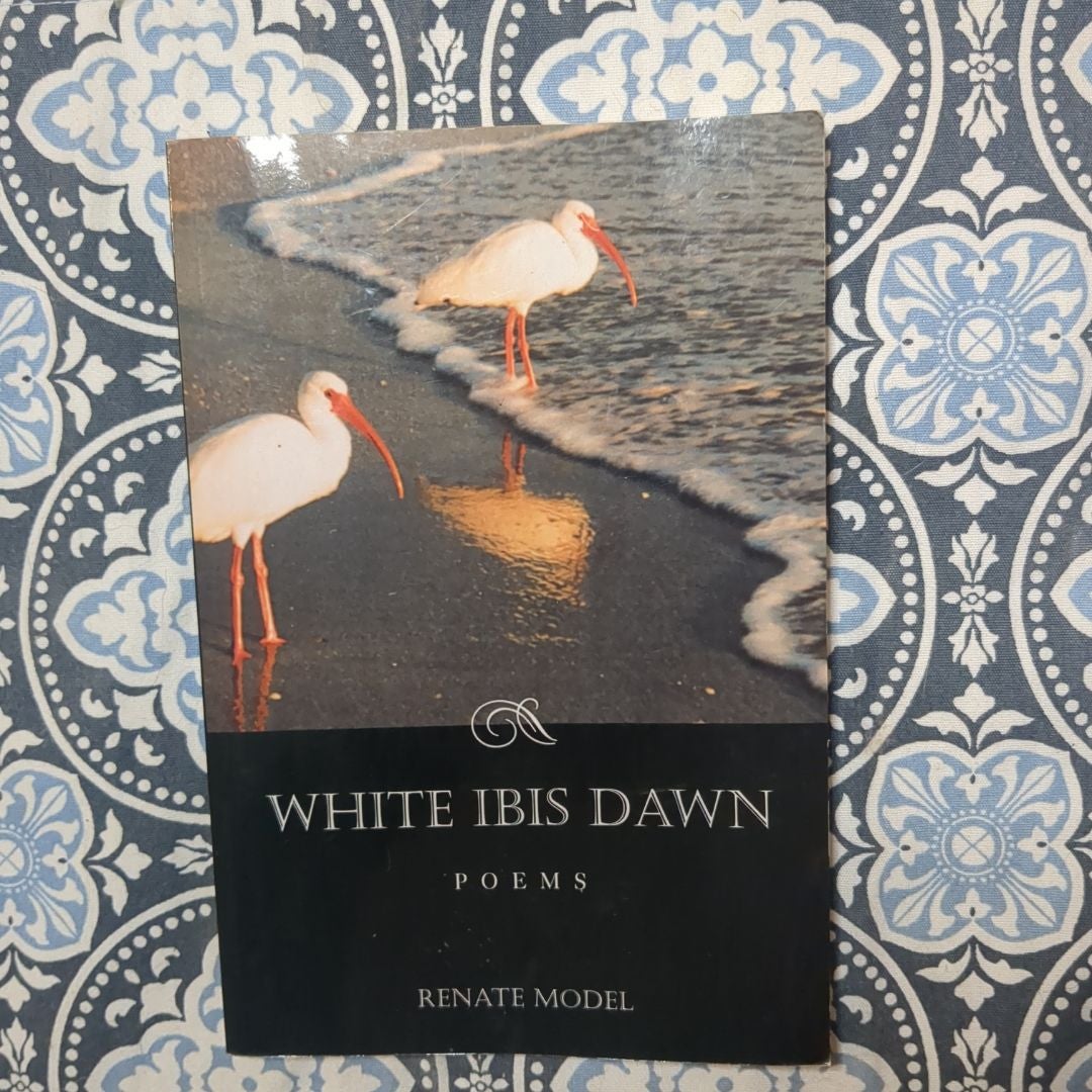 White Ibis Dawn