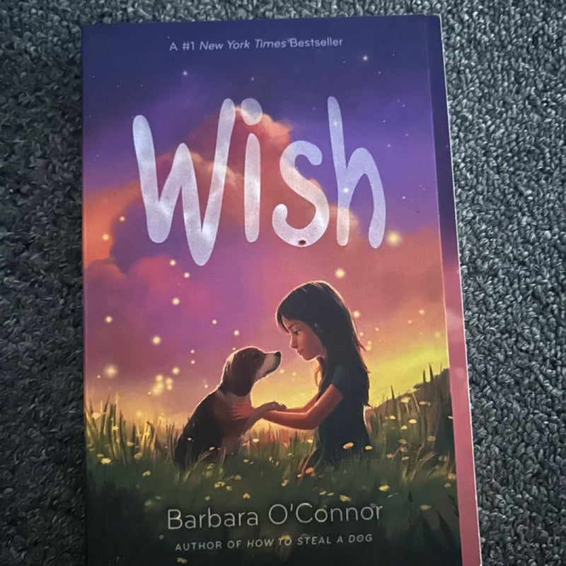 Wish book 