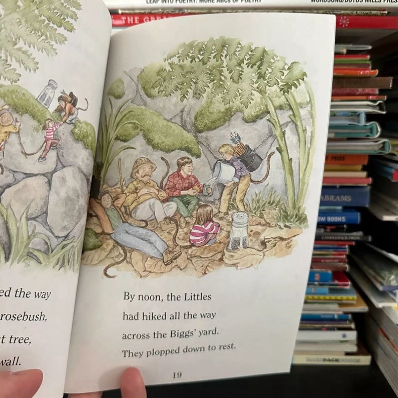 The Littles Book Bundle, 2 Books, Readers