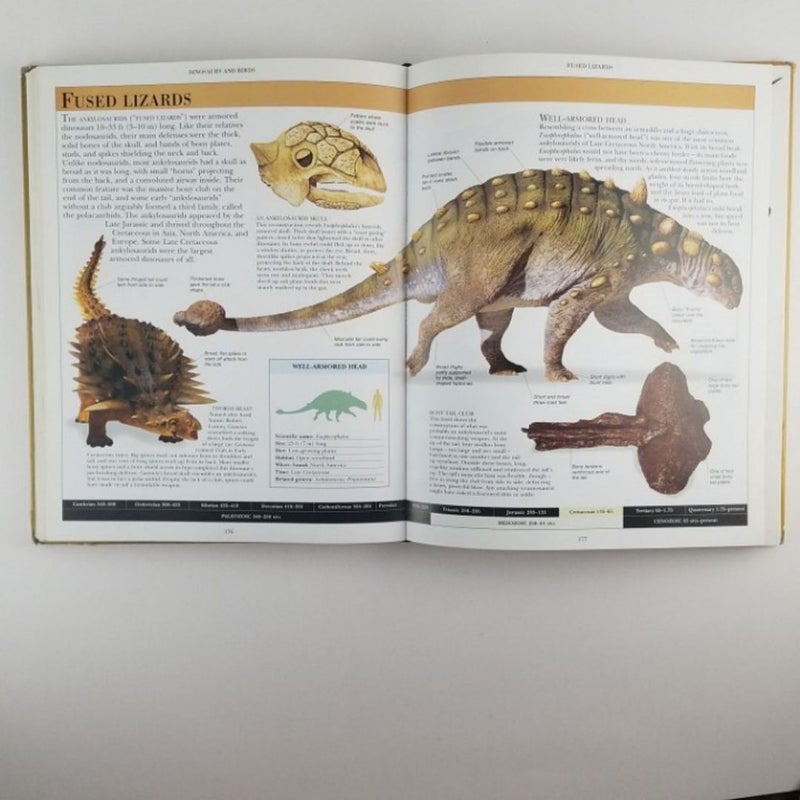 Dinosaur Encyclopedia DK