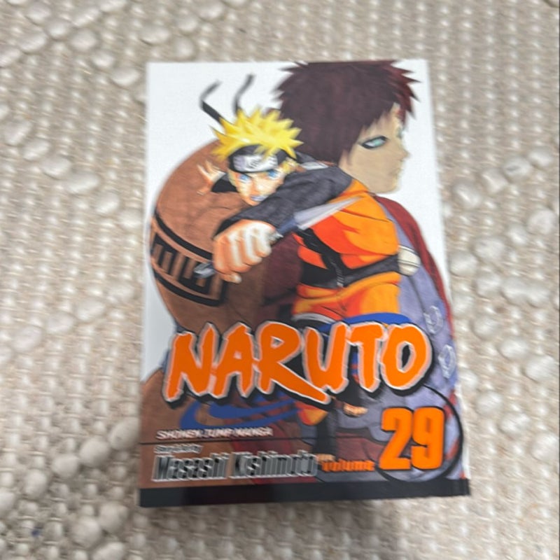 Naruto, Vol. 29