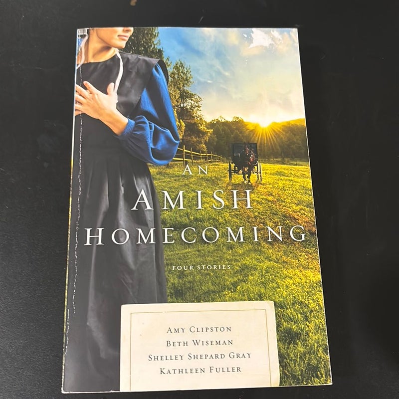 An Amish Homecoming