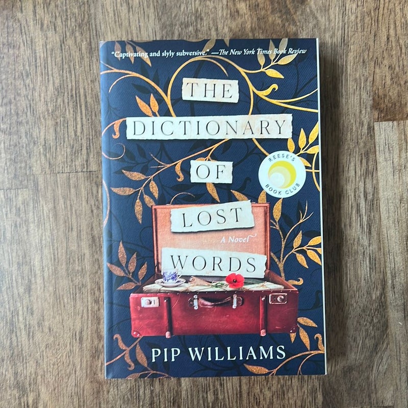 The Dictionary of Lost Words