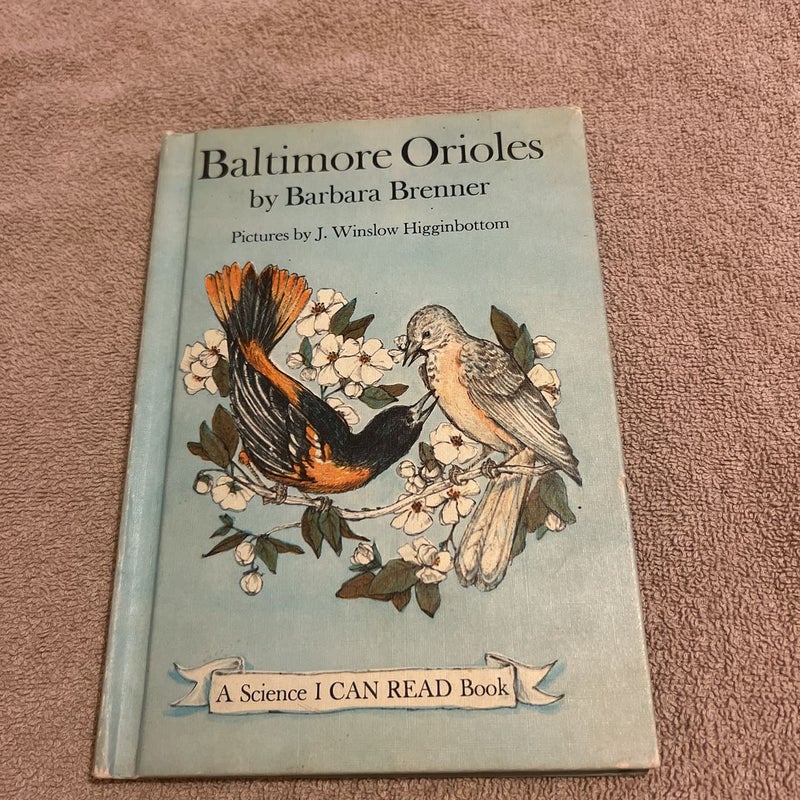 Baltimore orioles 
