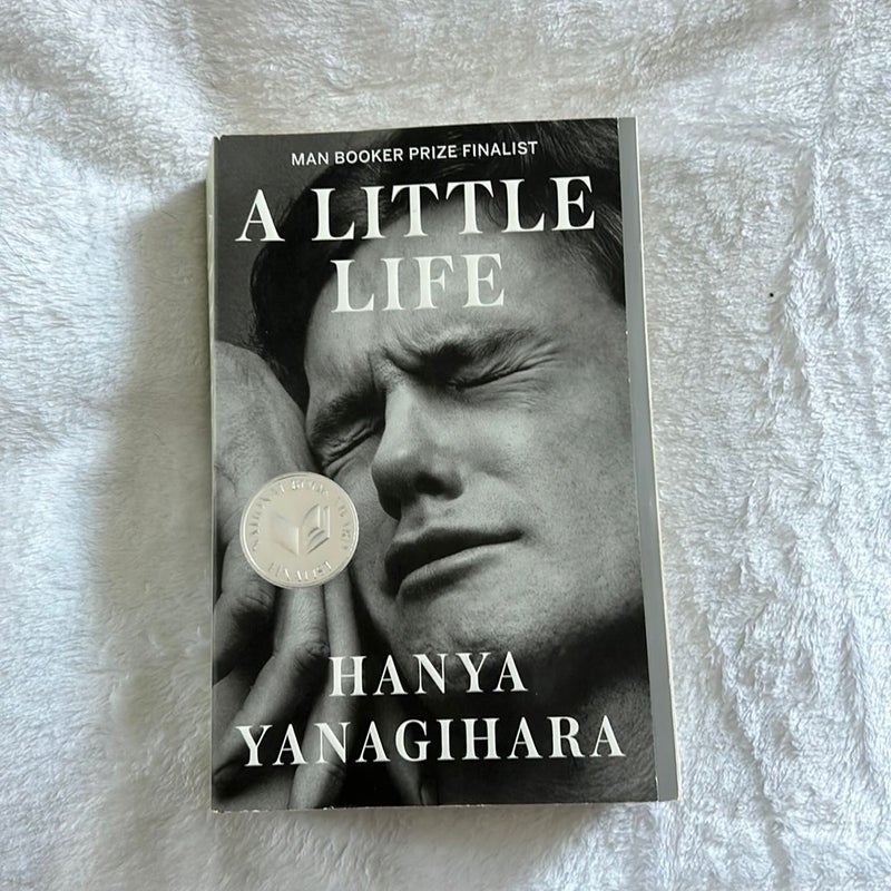 A Little Life – Hanya Yanagihara: A Musing – chrisgregorybooks