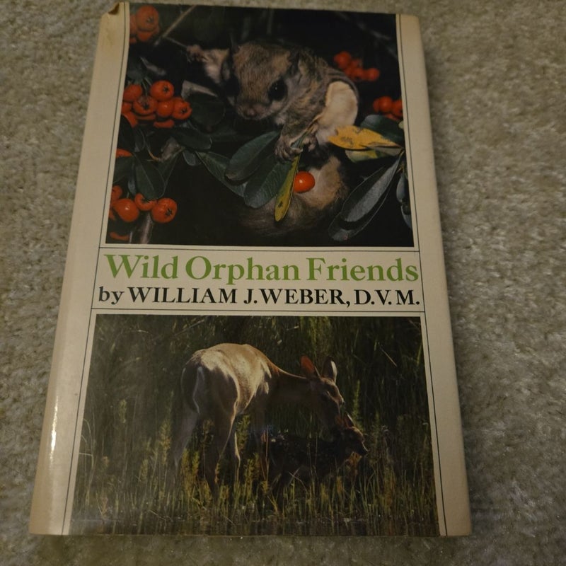 Wild Orphan Friends