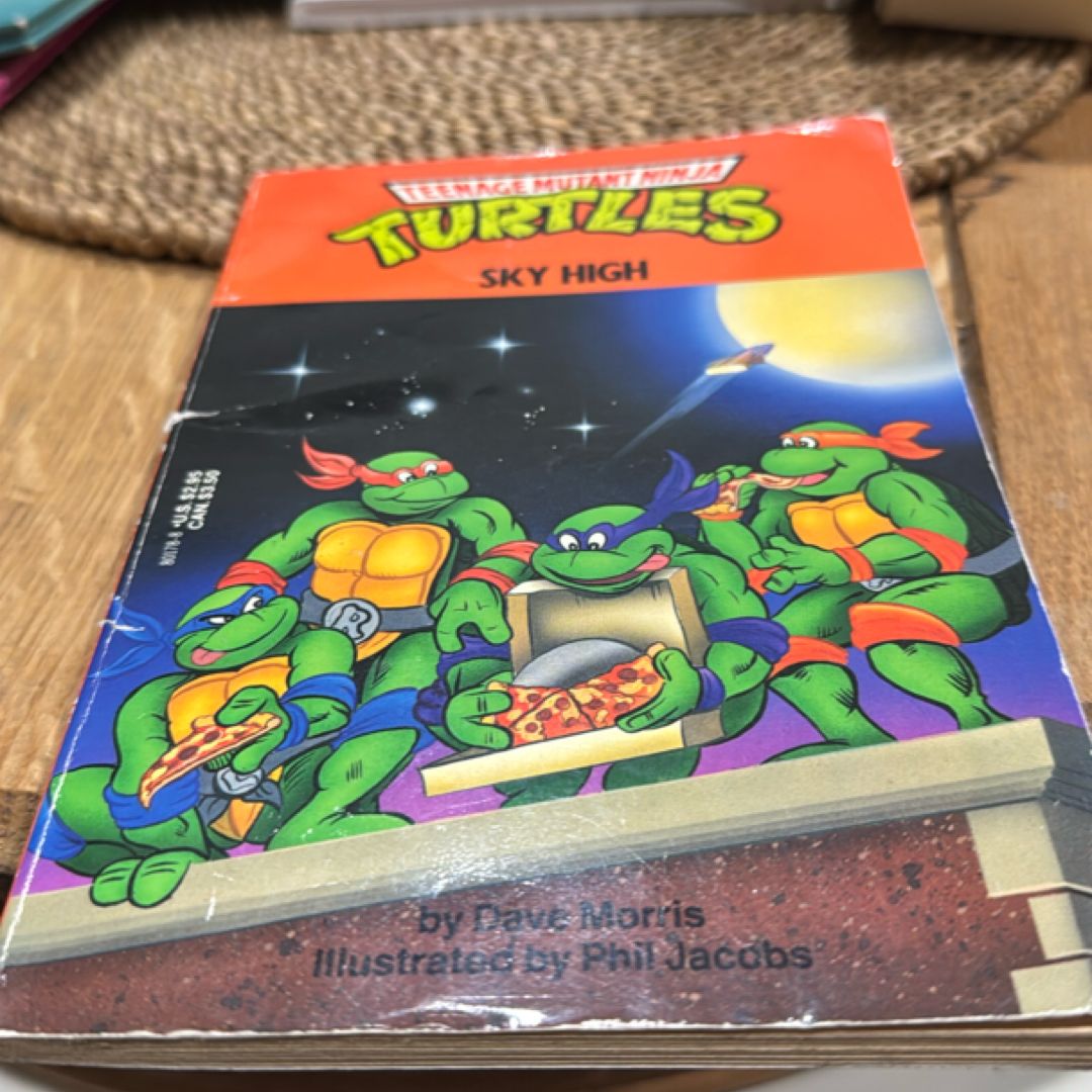 Sky High Teenage Mutant Ninja Turtles , Vintage 1990
