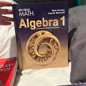 Larson Big Ideas Algebra 1 2015