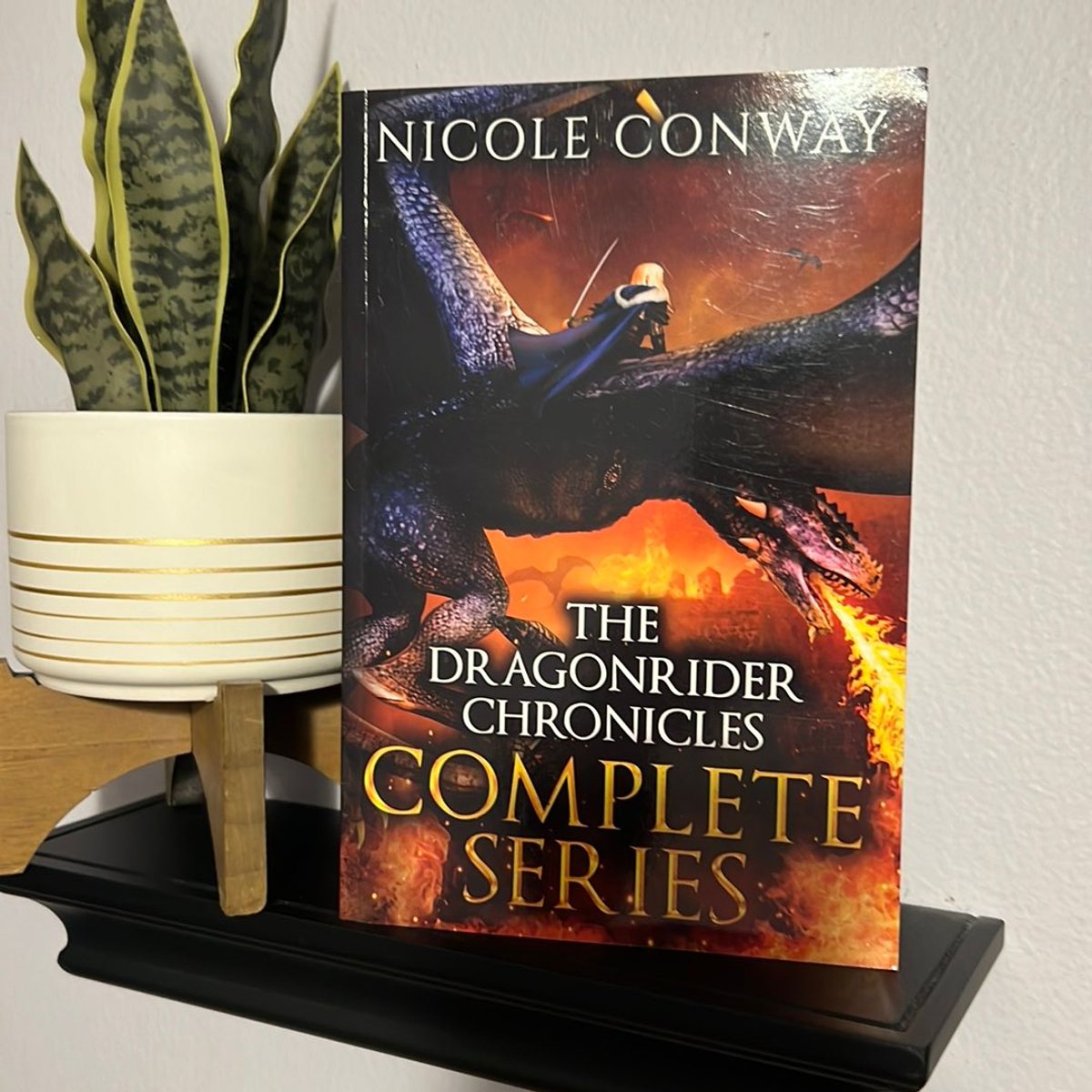 The Dragonrider Chronicles Complete Series by Nicole Conway, Paperback ...