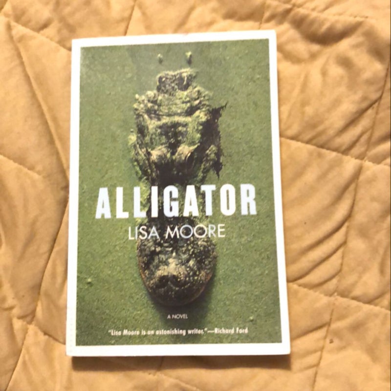 Alligator