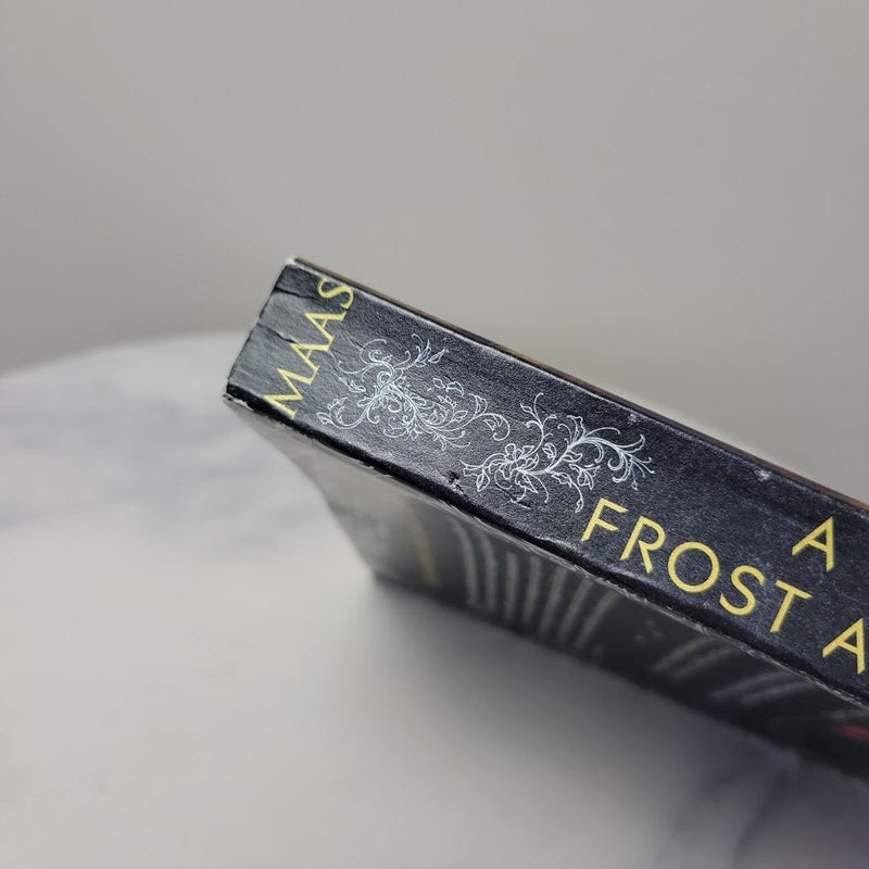 A Court of Frost and Starlight | US Paperback OOP