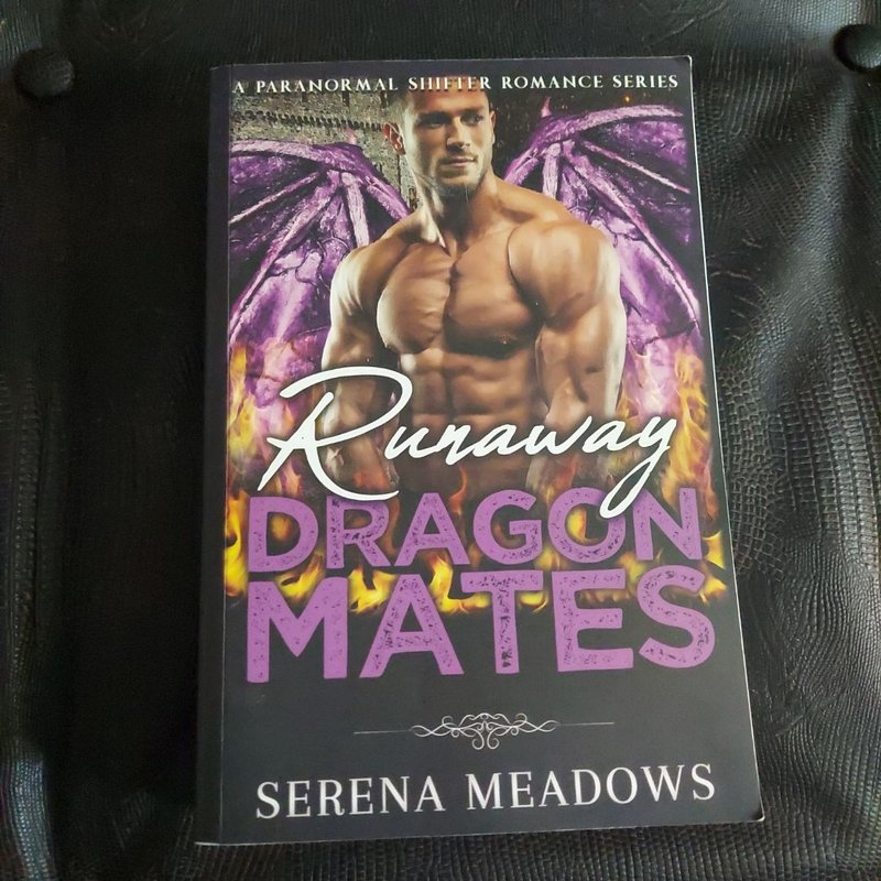 Runaway Dragon Mates: (a Paranormal Shifter Romance Series) READ DESCRIPTION 