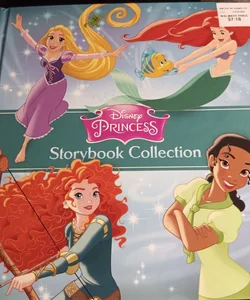 Disney princess storybook collection