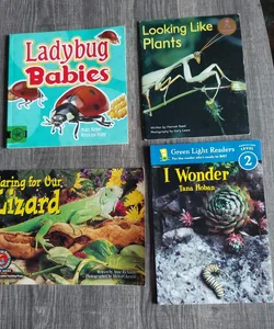 Bugs and Lizards books