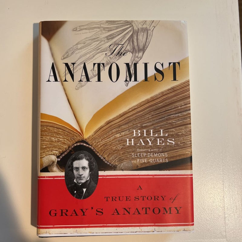 The Anatomist