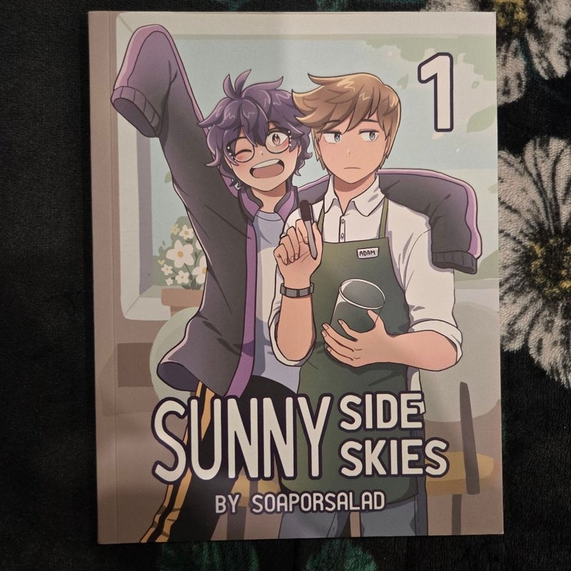 Sunny Side Skies Book 1