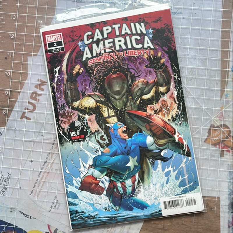 Captain America: Sentinel of Liberty #2