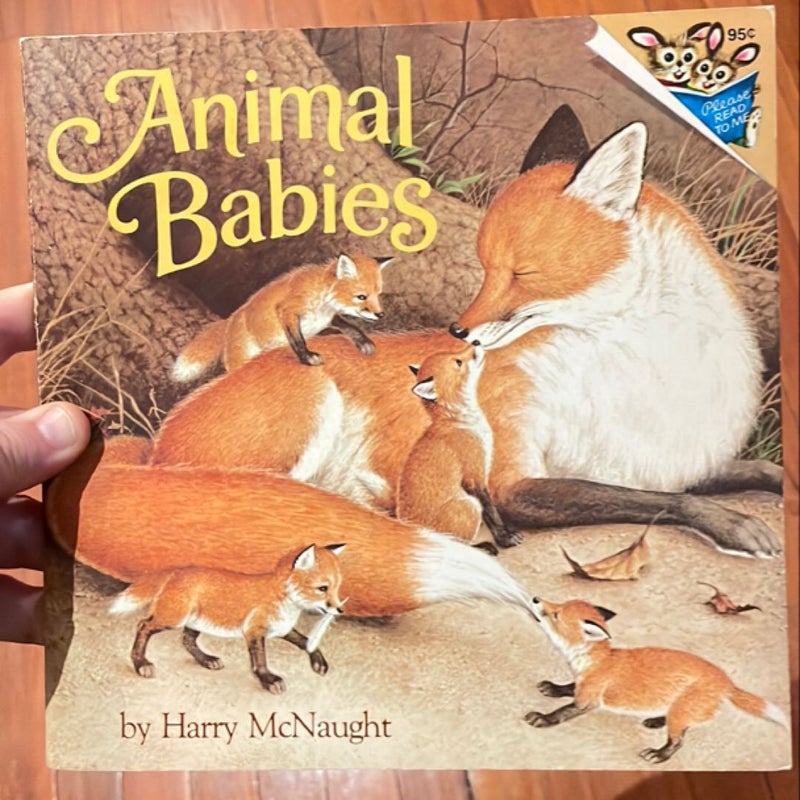 Animal Babies