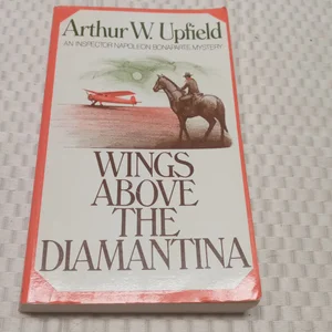 Wings above the Diamantina