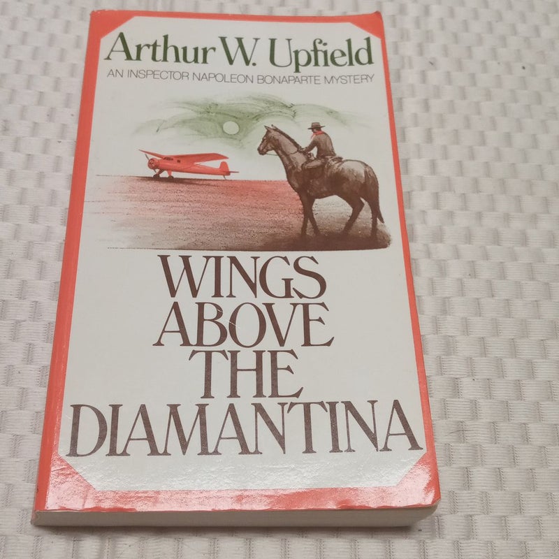 Wings above the Diamantina