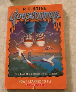 How I Learned to Fly