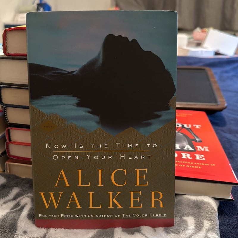 (First Edition) Now Is the Time to Open Your Heart