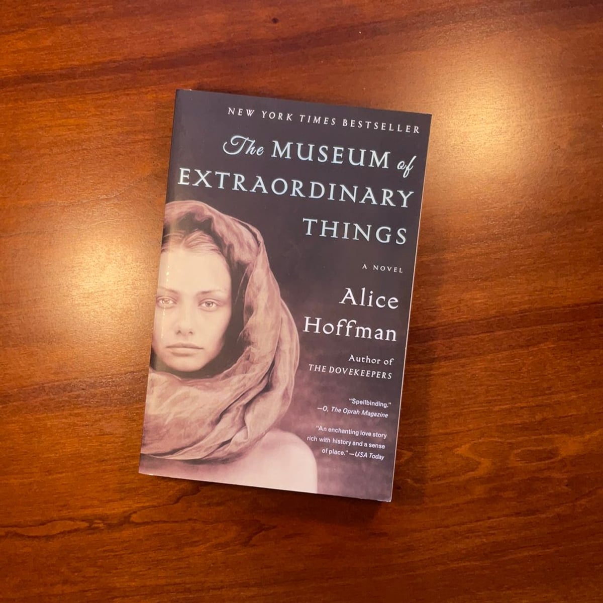 The Museum of Extraordinary Things by Alice Hoffman