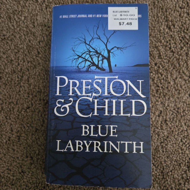 Blue Labyrinth