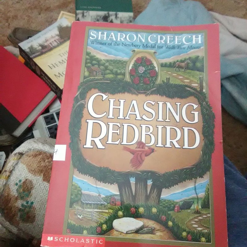 Chasing Redbird