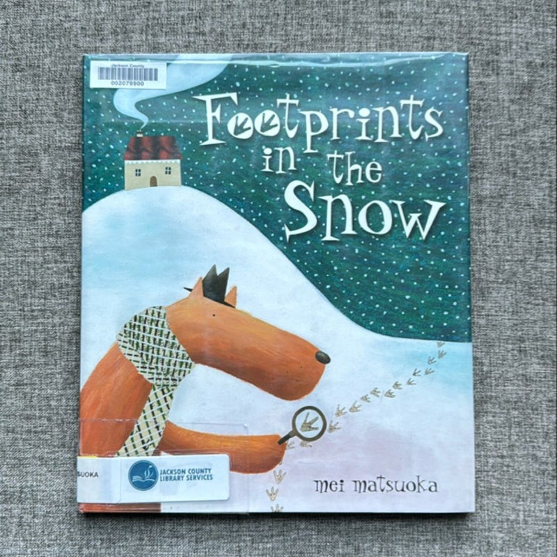 Footprints in the Snow