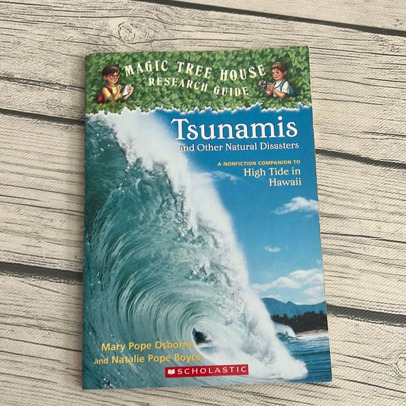 Tsunamis and other natural disasters