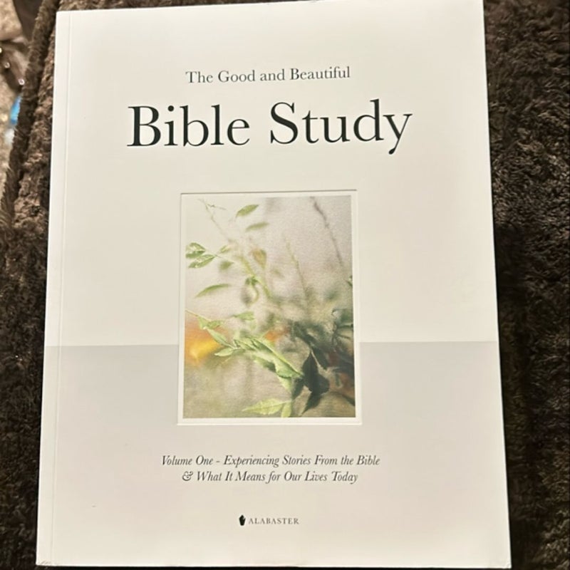 The Good and Beautiful Bible Study
