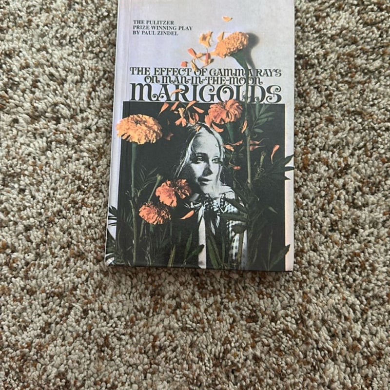 The Effect of Gamma Rays on Man-in-the-Moon Marigolds