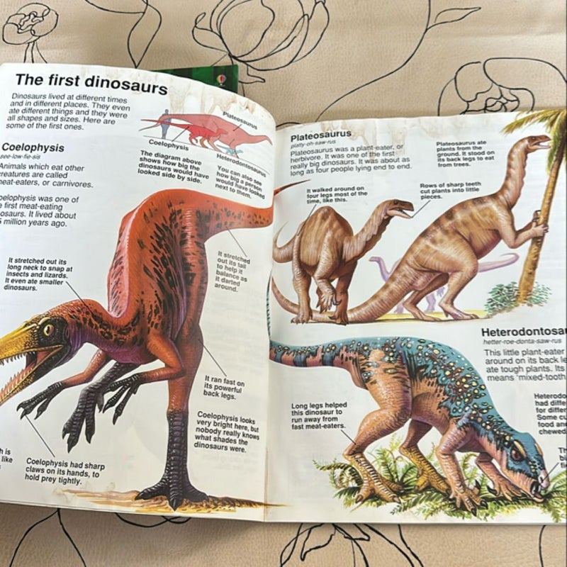 Usborne First Encyclopedia of Dinosaurs and Prehistoric Life