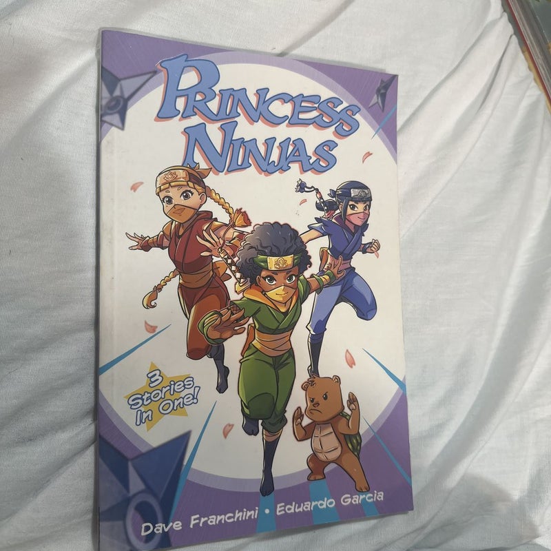 Princess Ninjas Graphic Novel