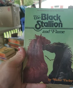 The black stallion 