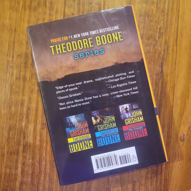 Theodore Boone: the Activist