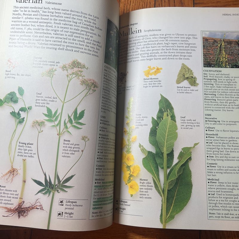The Complete Book of Herbs