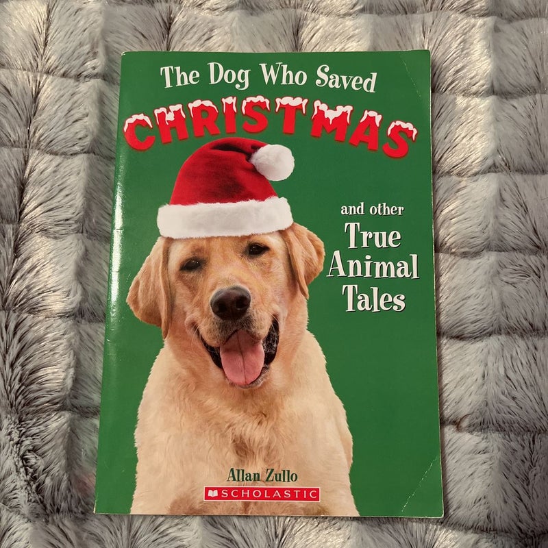 The Dog Who Saved Christmas and other True Animal Tales